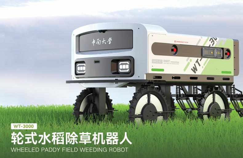 水稻除草机器人研制应用